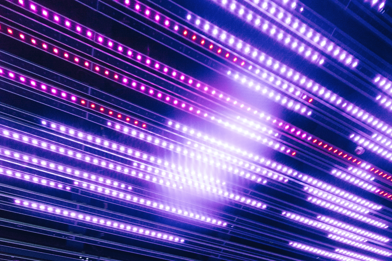 Purple neon wall